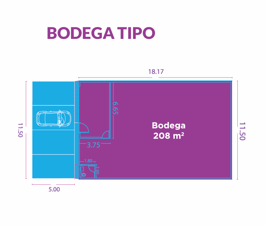 Captura de pantalla 2024-10-22 180650